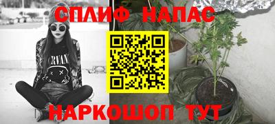 мет Дубна