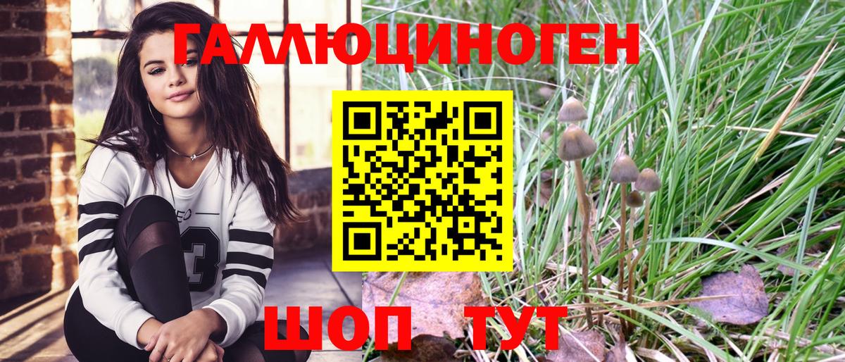 Лыткарино  Псилоцибиновые грибы мицелий  Вход с VPN 